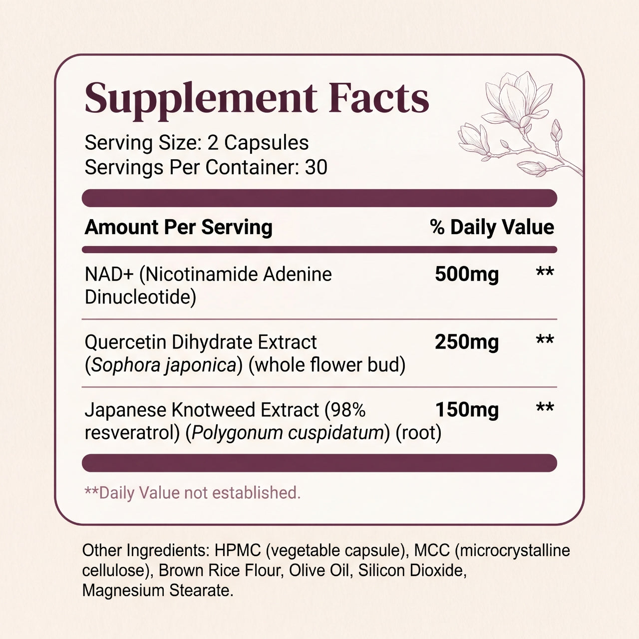 NAD+ Cellular Support 1