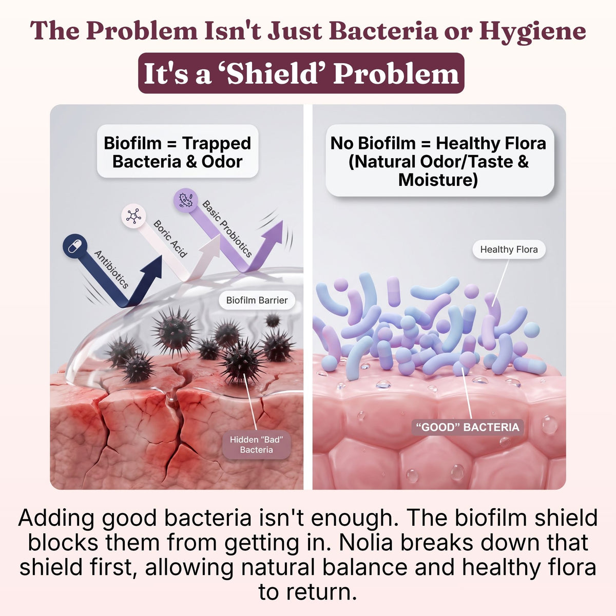 Vaginal Biofilm Probiotic Capsules